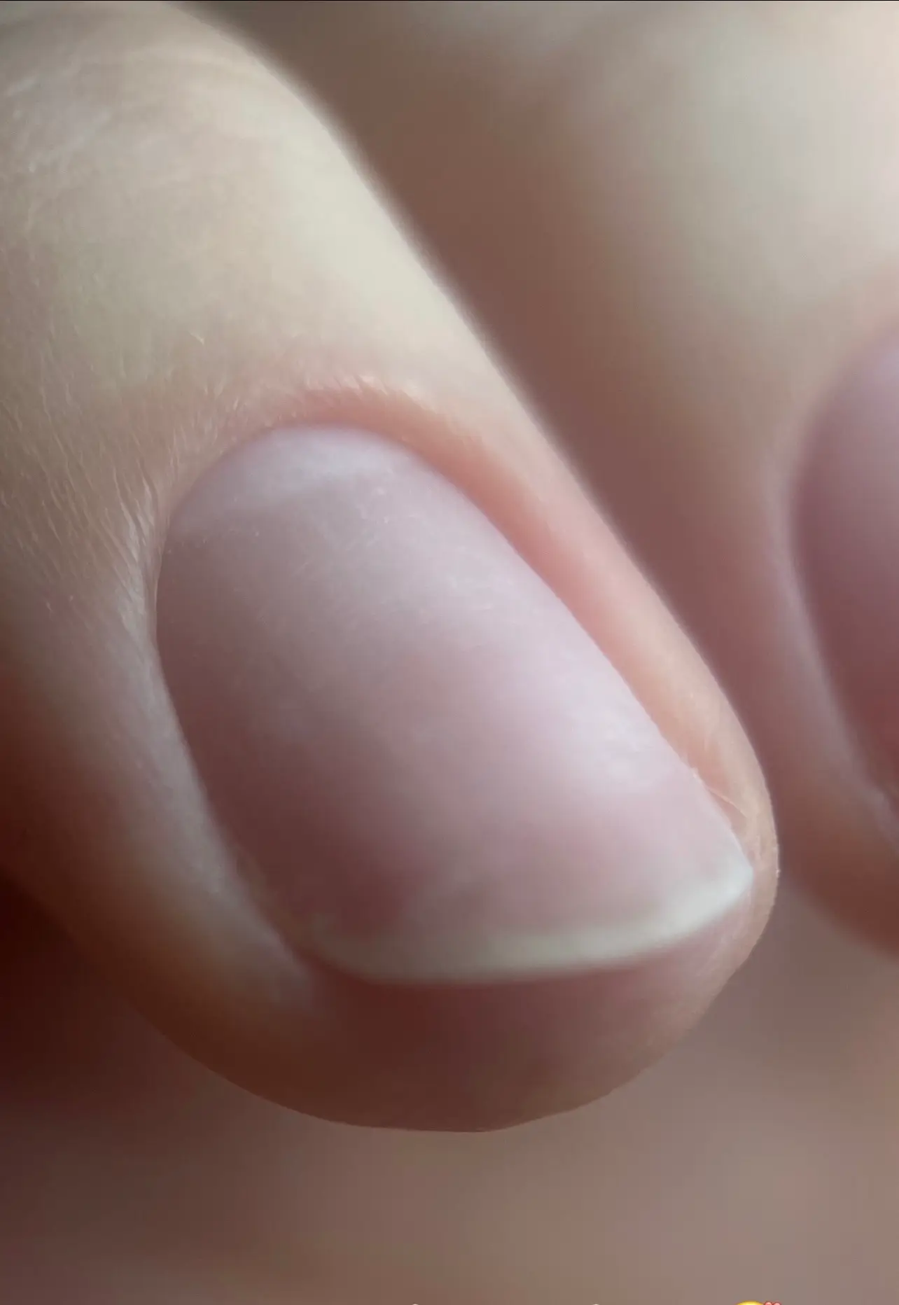Un ongle de main naturel en bonne santé illustrant le résultat après une formation manucure russe