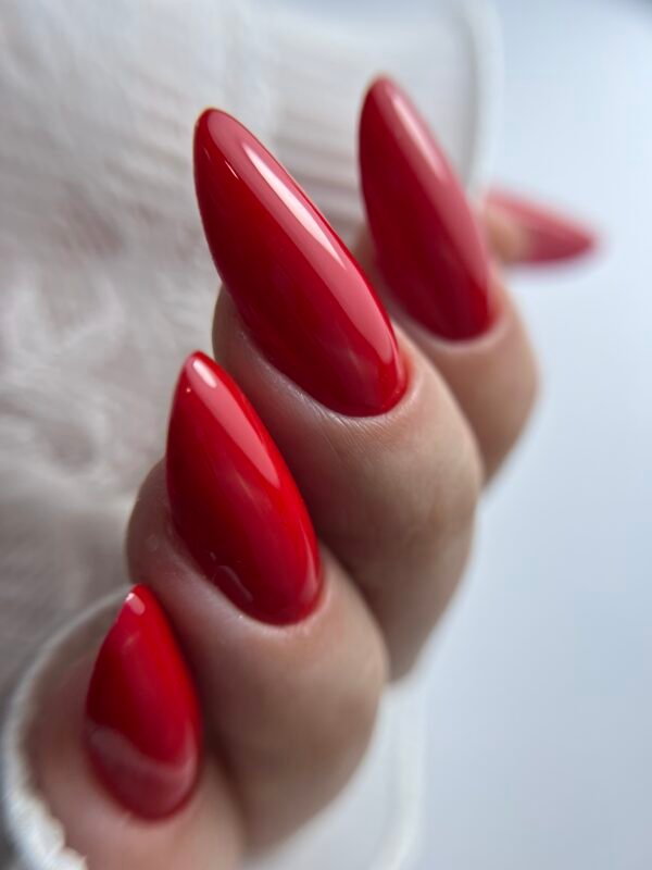 Formation Practice LAB